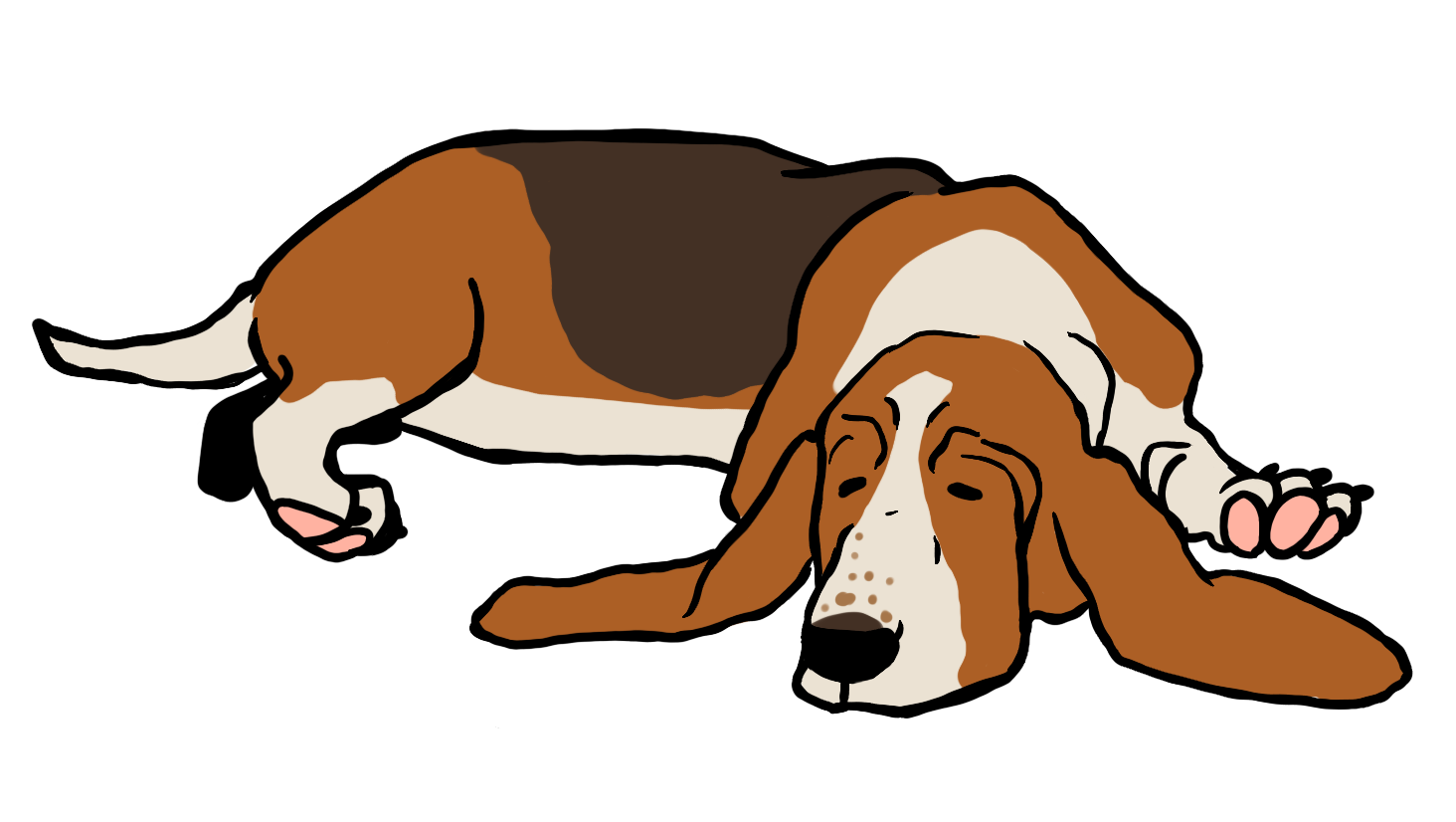 Sleeping basset hound illustration for Dog Tired Coffee